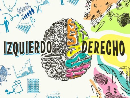 ¿Sabes qué hemisferio cerebral domina tu vida? Este test te lo dirá