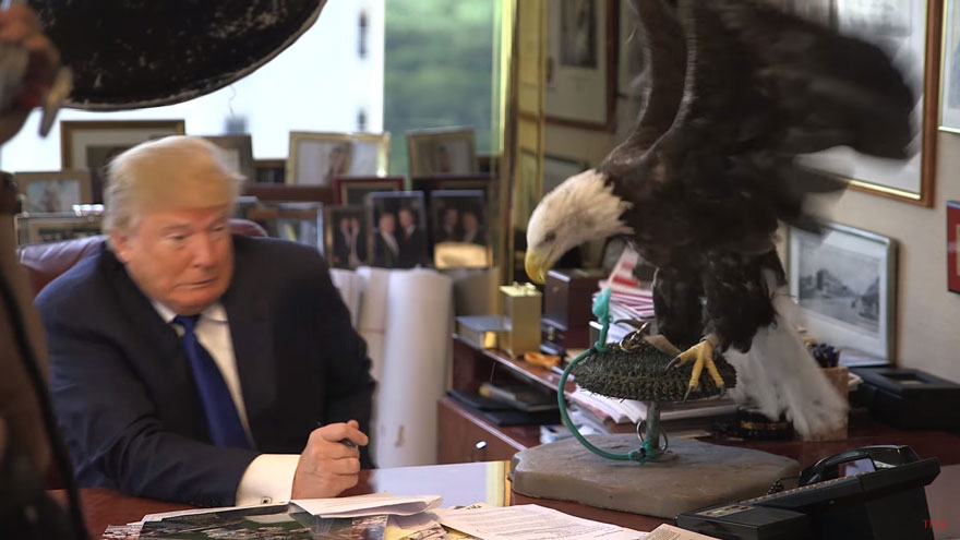 Video: Águila «Tío Sam» ataca a Donald Trump durante sesión fotográfica