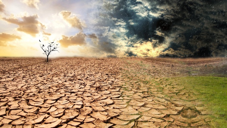 El cambio climático incide concretamente en la pobreza de los suelos áridos