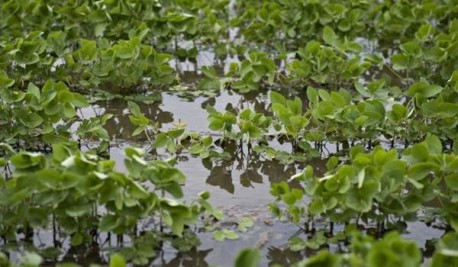 Según un especialista, el 37,5 % del territorio argentino está afectado por procesos de erosión