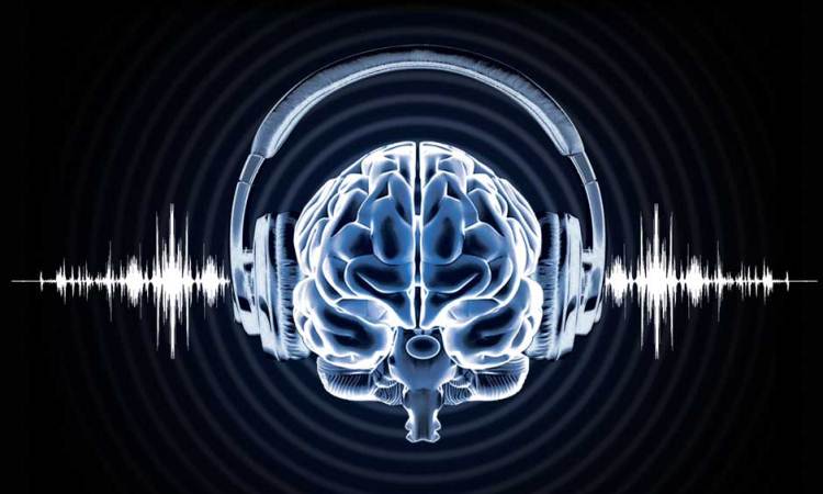 Nuestro cerebro tiene neuronas exclusivas para distinguir la música de cualquier otro sonido