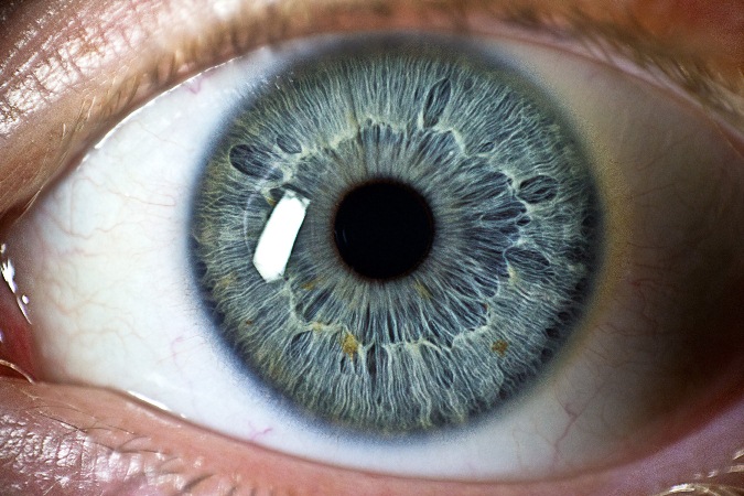 Increíble: Ojo biónico puede restaurar la vista a personas con ceguera total