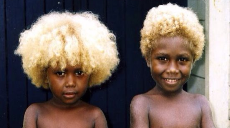 ¿Negros Rubios? Ellos son los particulares nativos de Melanesia!