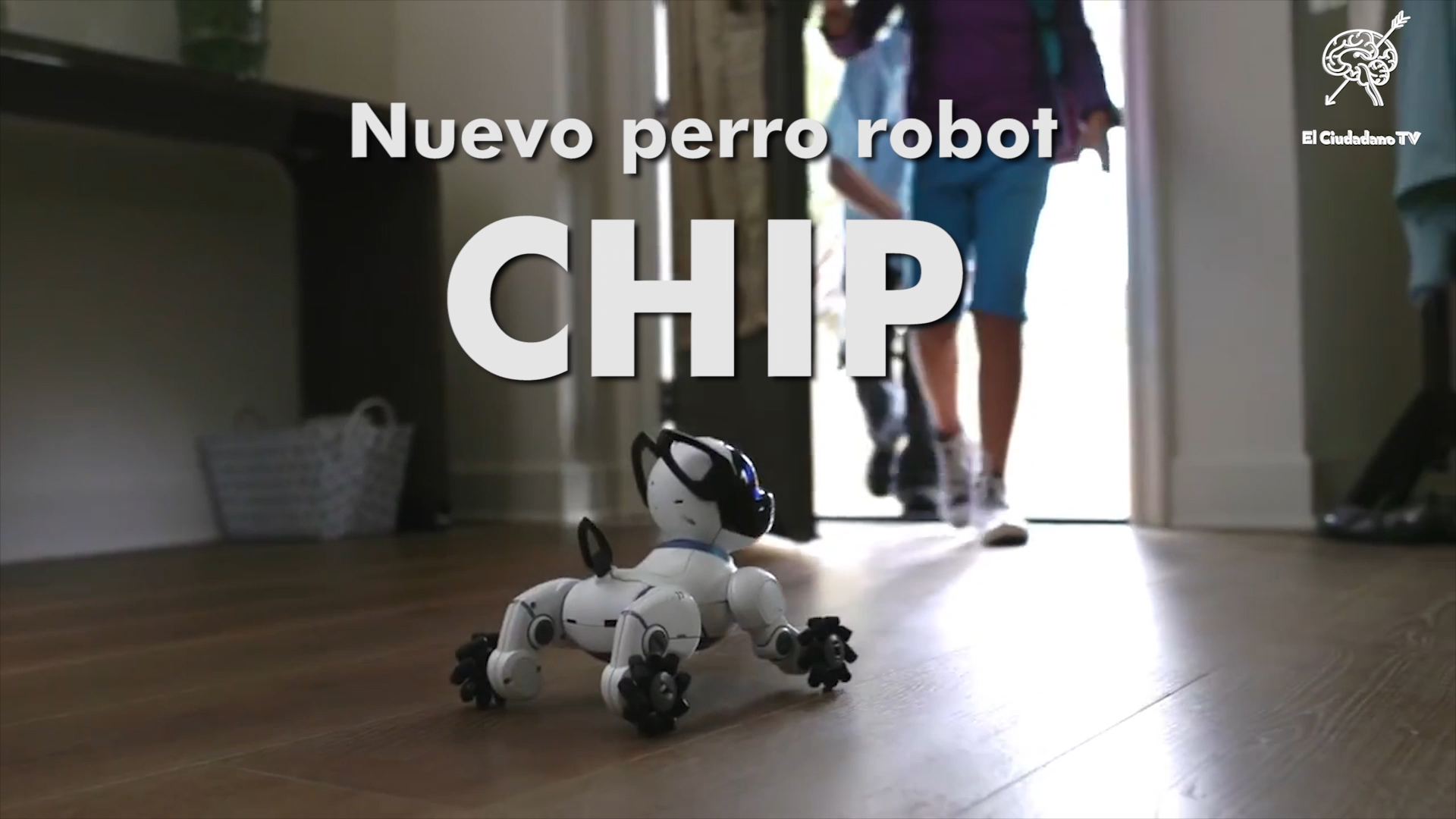 Chip: El Perro Robot