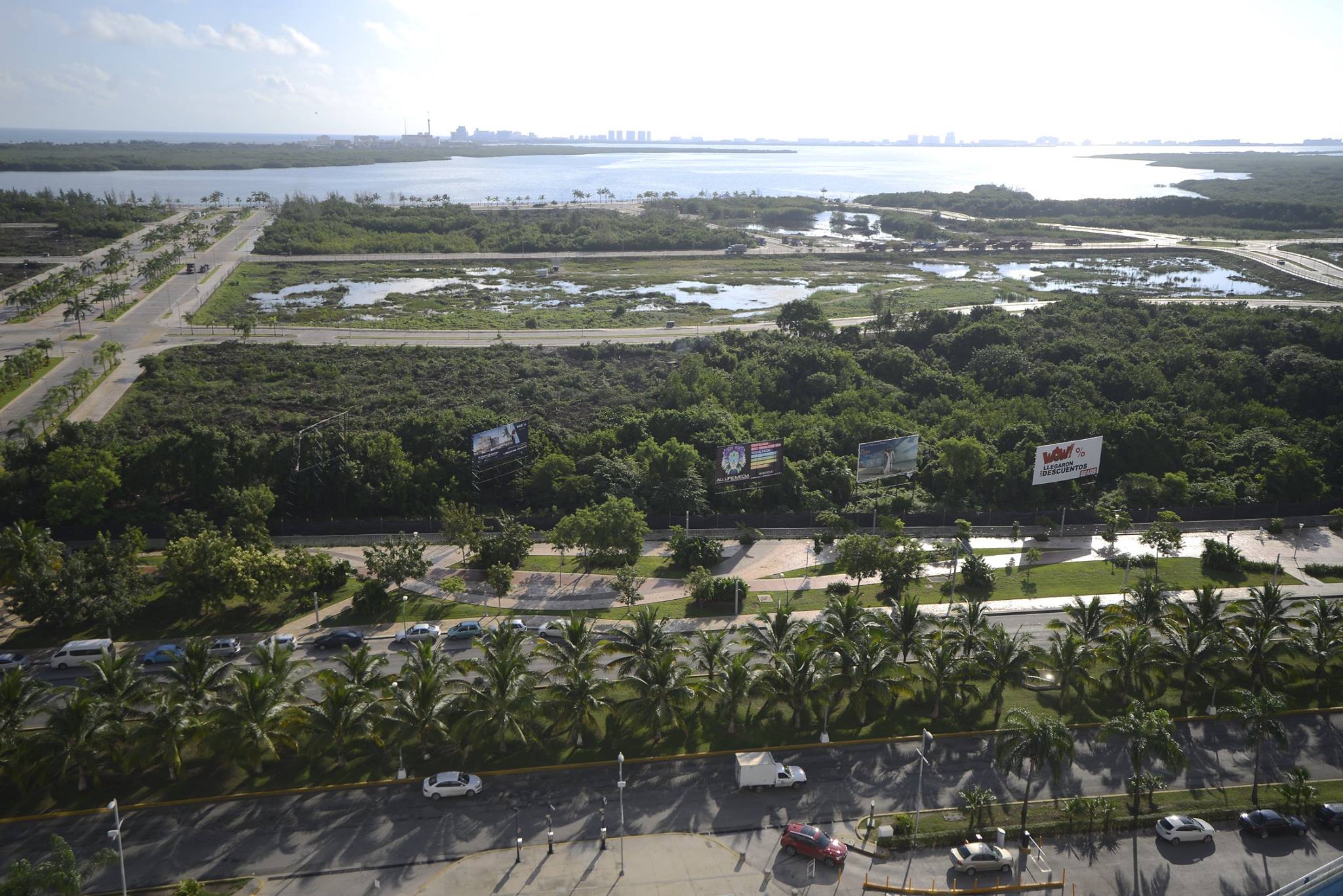 Talan 59 hectáreas de manglares en el Malecón Tajamar, Cancún