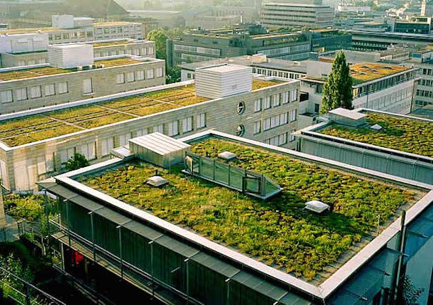 Por ley los techos en Francia deberán estar cubiertos de plantas o paneles solares