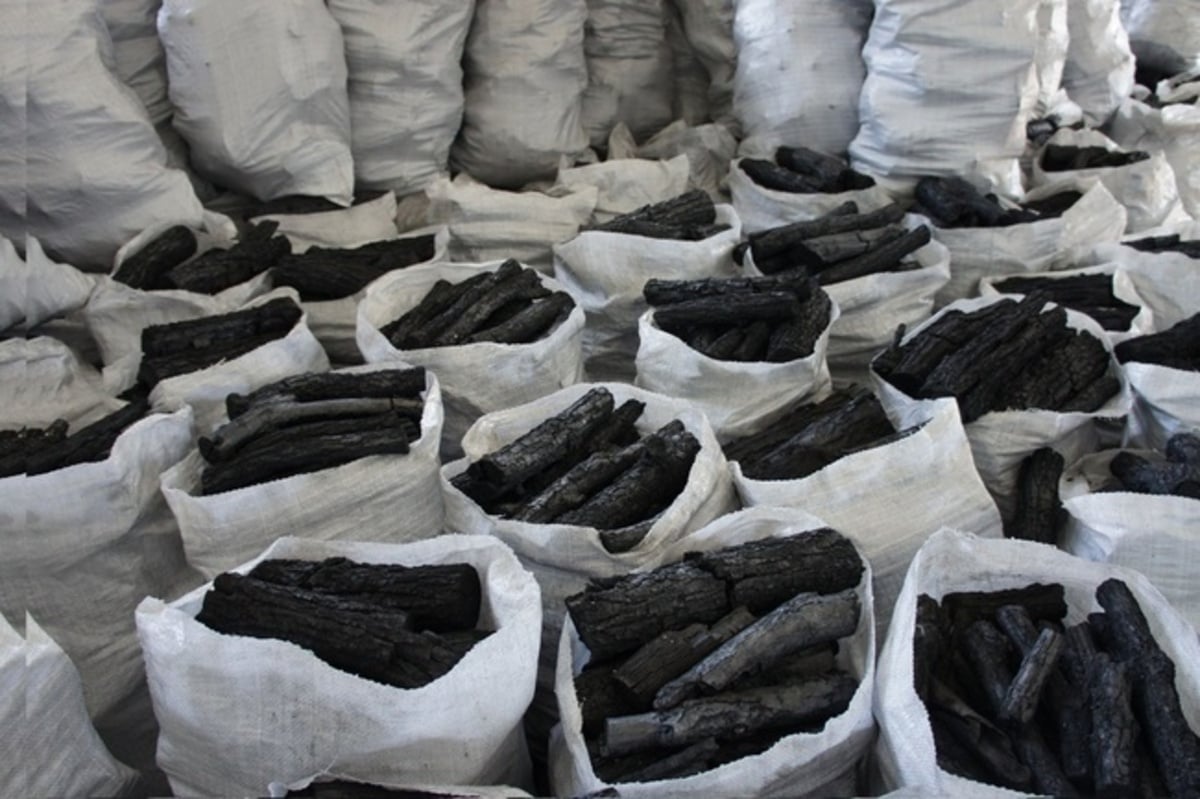 Asegura Profepa carbón vegetal ilegal en Sinaloa