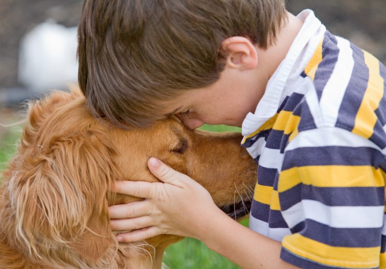 Estudio científico confirma que los perros reconocen las emociones humanas