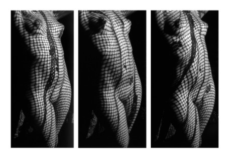 En busca de la fotografía perfecta