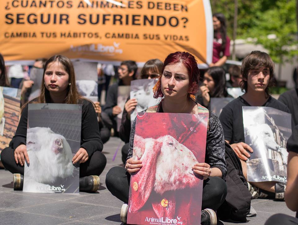 El auge del veganismo en Chile