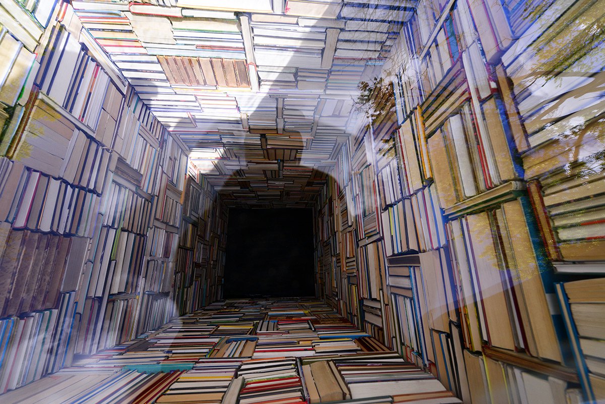 Una biblioteca es una abertura al infinito (y aquí te lo mostramos)