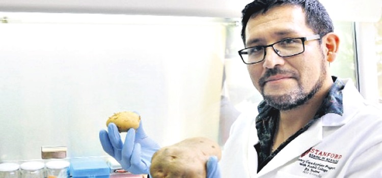Insólito: científicos exploran un proyecto para cultivar papa peruana en Marte