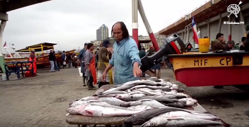 Gobierno asume postura pro empresas pesqueras en «Ley Longueira»