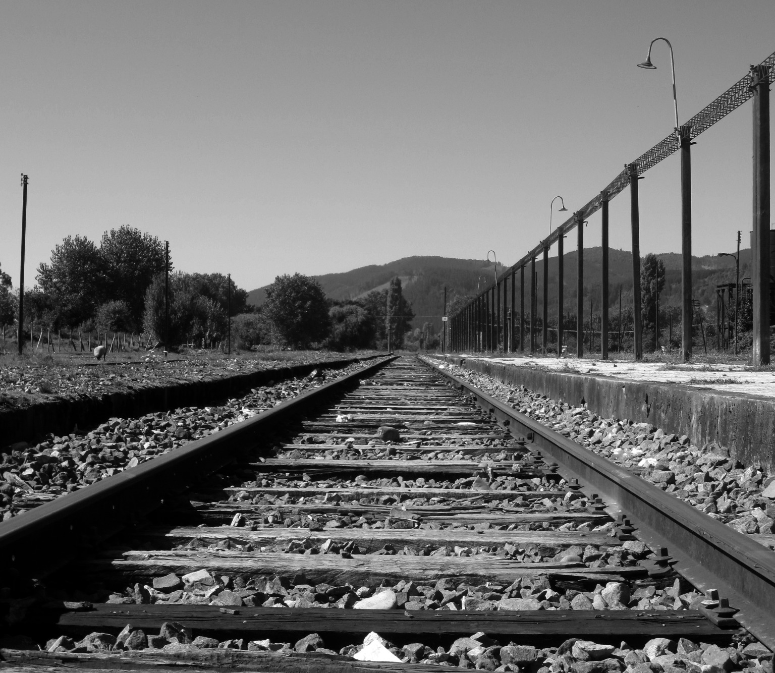 Viajando al pasado: las memorias de un tren al sur