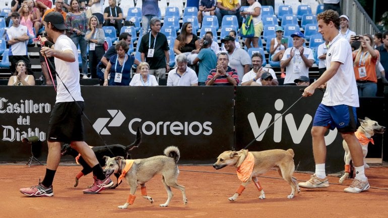 El Abierto de tenis de Brasil inició la era de los perros recogepelotas