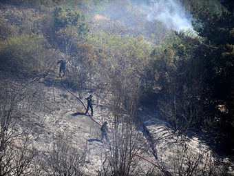 Alerta por incendios forestales en Traiguén