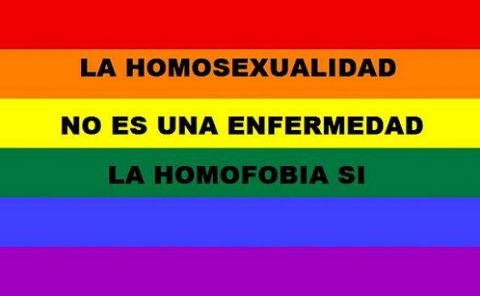 Calendario Escolar: 12 de 15 regiones incluyeron el Día contra la Homofobia