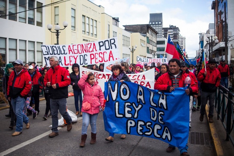 Diputado Núñez: «Piñera hizo la Ley de Pesca para enriquecerse»