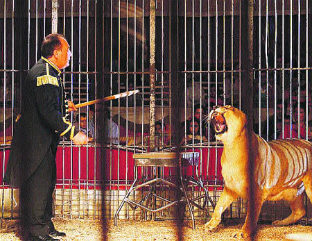 Presentan proyecto de ley para prohibir actuación con animales amaestrados en circos