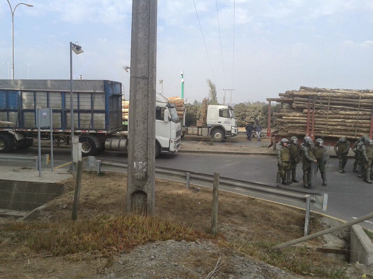 Trabajadores Forestales inician movilización y exigen dejar de ser “carne de cañón” del empresariado forestal
