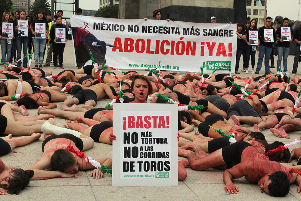 Activistas recrean el sufrimiento taurino para pronunciarse contra la Fiesta Brava