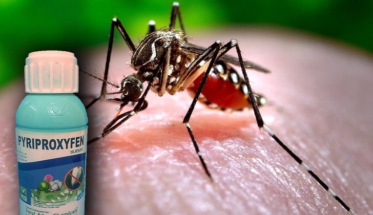 Brasil en alerta por supuesto vínculo de pesticida – y no del virus Zika – con la microcefalia