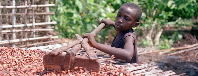 Estas son las 7 marcas de chocolate que utilizarían trabajo esclavo infantil
