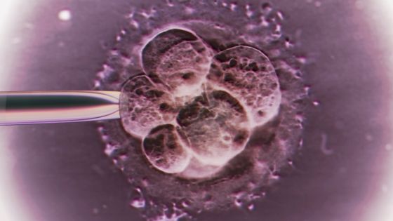 Atención: Científicos manipularán genes de embriones humanos en Reino Unido