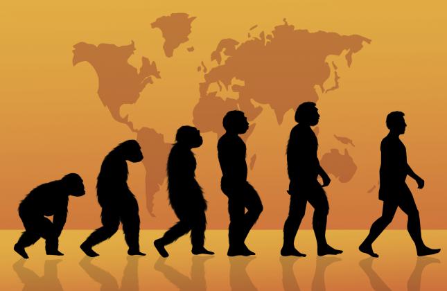 Nuevo hallazgo: El humano evolucionó de otros primates 2 millones de años antes de lo pensado