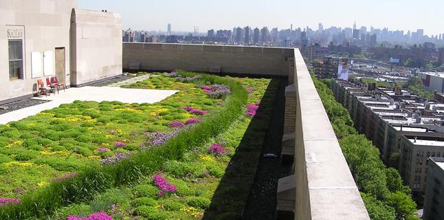 Naturbanización: el nuevo concepto que salvará a las grandes ciudades y sus habitantes