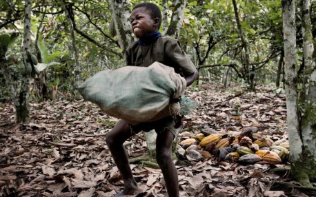 Estas marcas de chocolate que consumes están explotando niñ@s  para fabricarlos
