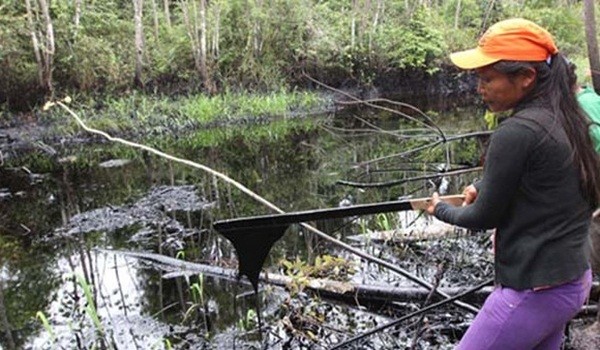 Perú: pueblos originarios denunciarán a la empresa estatal Petroperú por derrame en Amazonía