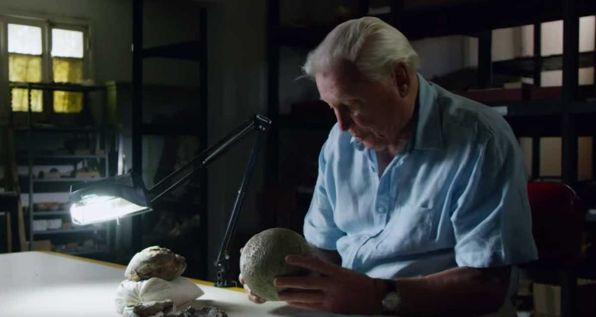 Él abrió un huevo de dinosaurio de 300 millones de años. Nunca se esperó lo que encontró