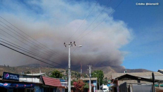Alerta roja para La Ligua. Incendio forestal consume más de 120 hectáreas