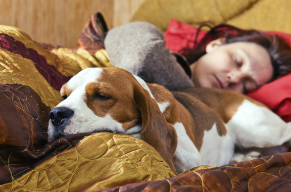 Comprobado: dormir con animales mejora calidad del sueño