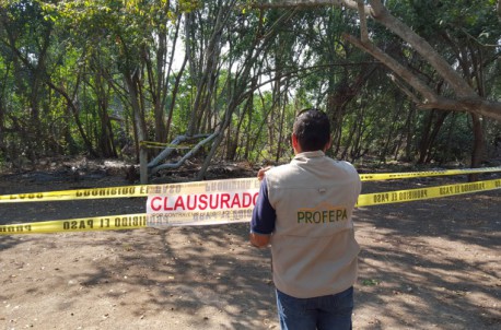 Clausura actividades en zona de humedales en manzanillo