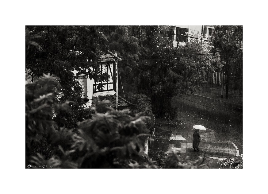 «Siempre empezó a llover», la muestra de Bernardo Cornejo sobre la casa y el barrio de Julio Cortázar en Buenos Aires