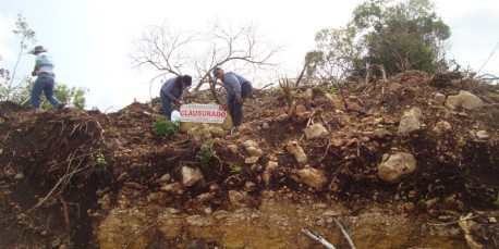 Aplica Profepa multa millonaria a empresa por deforestación