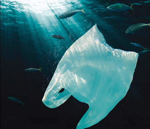 Desde hoy 2 comunas de la Región de Los Ríos le dicen chao al uso de las bolsas de plástico