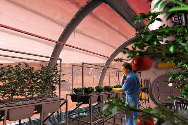 Científicos logran cultivar vegetales en suelo «marciano»