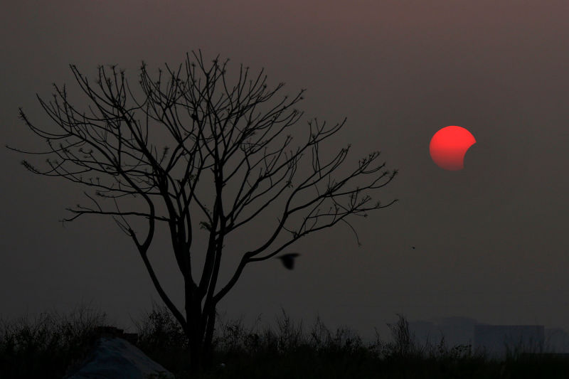 Las hermosas fotos del eclipse solar que se vio hace unas horas en Indonesia