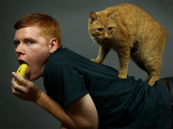 Lamentables fotografías de hombres y gatos