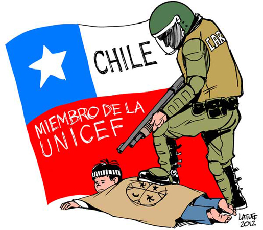 “Michelle Bachelet representa un Estado que en gran medida oprime al pueblo mapuche”