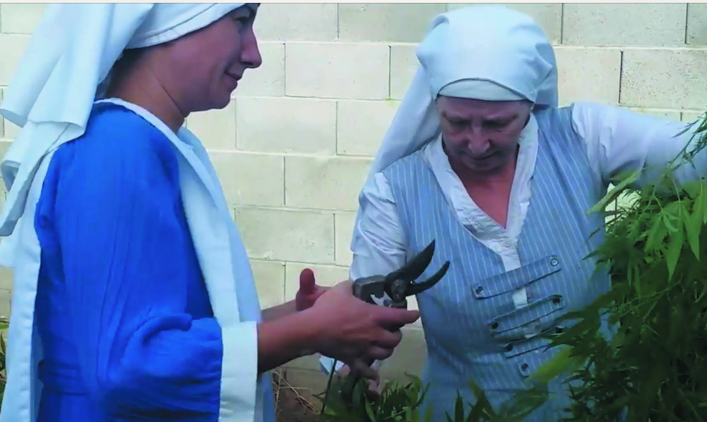 Monjas cultivadoras de marihuana