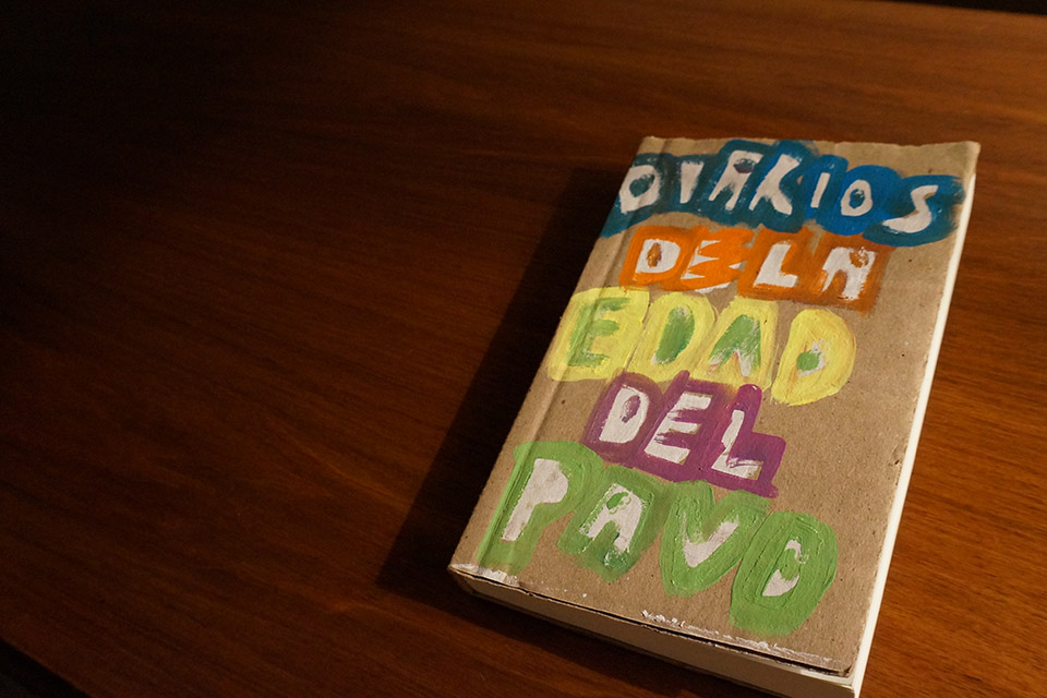 «Diarios de la edad del pavo» de Fabián Casas: La juventud al poder
