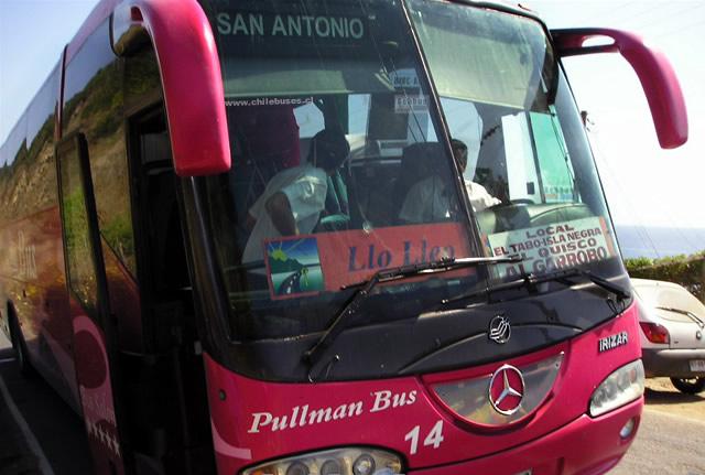 Pasajero denuncia que debió bajarse de bus tras encontrar cucarachas