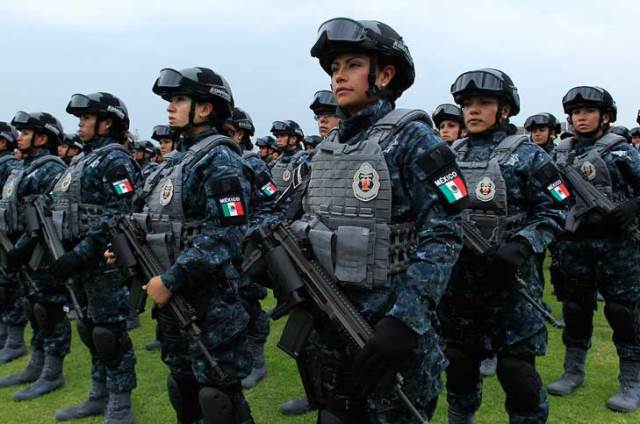 Gendarmería Ambiental podría comenzar a operar a finales de año