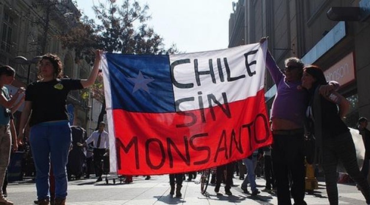 Monsanto ataca de nuevo en Paine