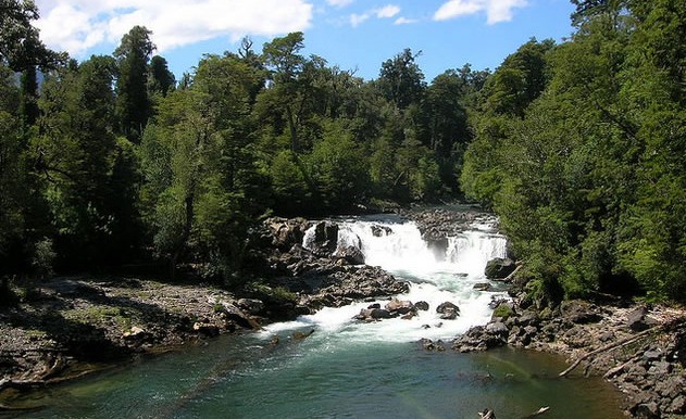 Mapuches llegaron a tribunales para exigir que proyecto hidroeléctrico se vaya de su territorio ancestral