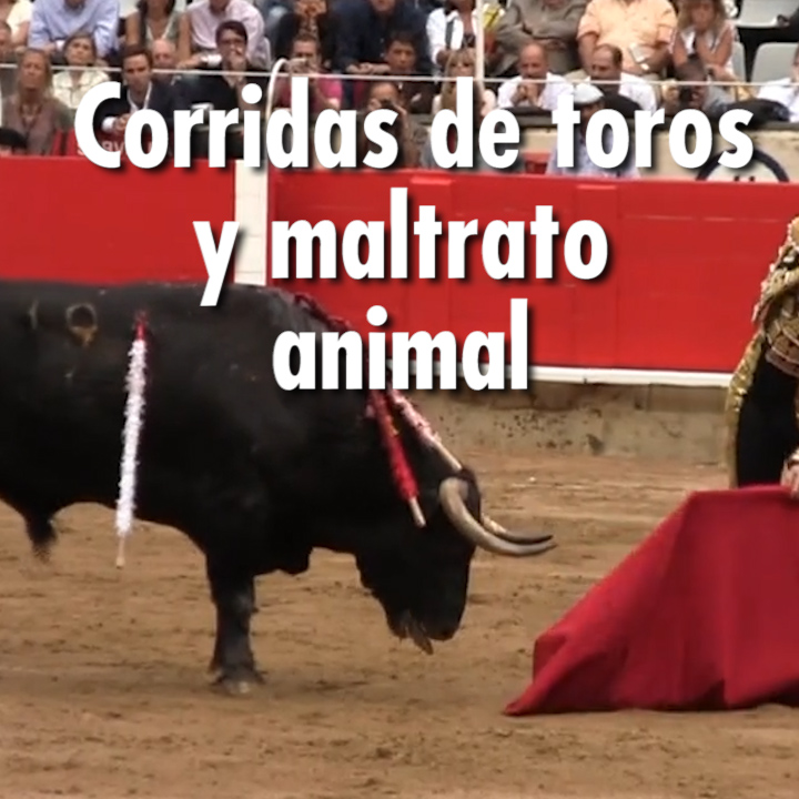 Las corridas de toros y el maltrato animal